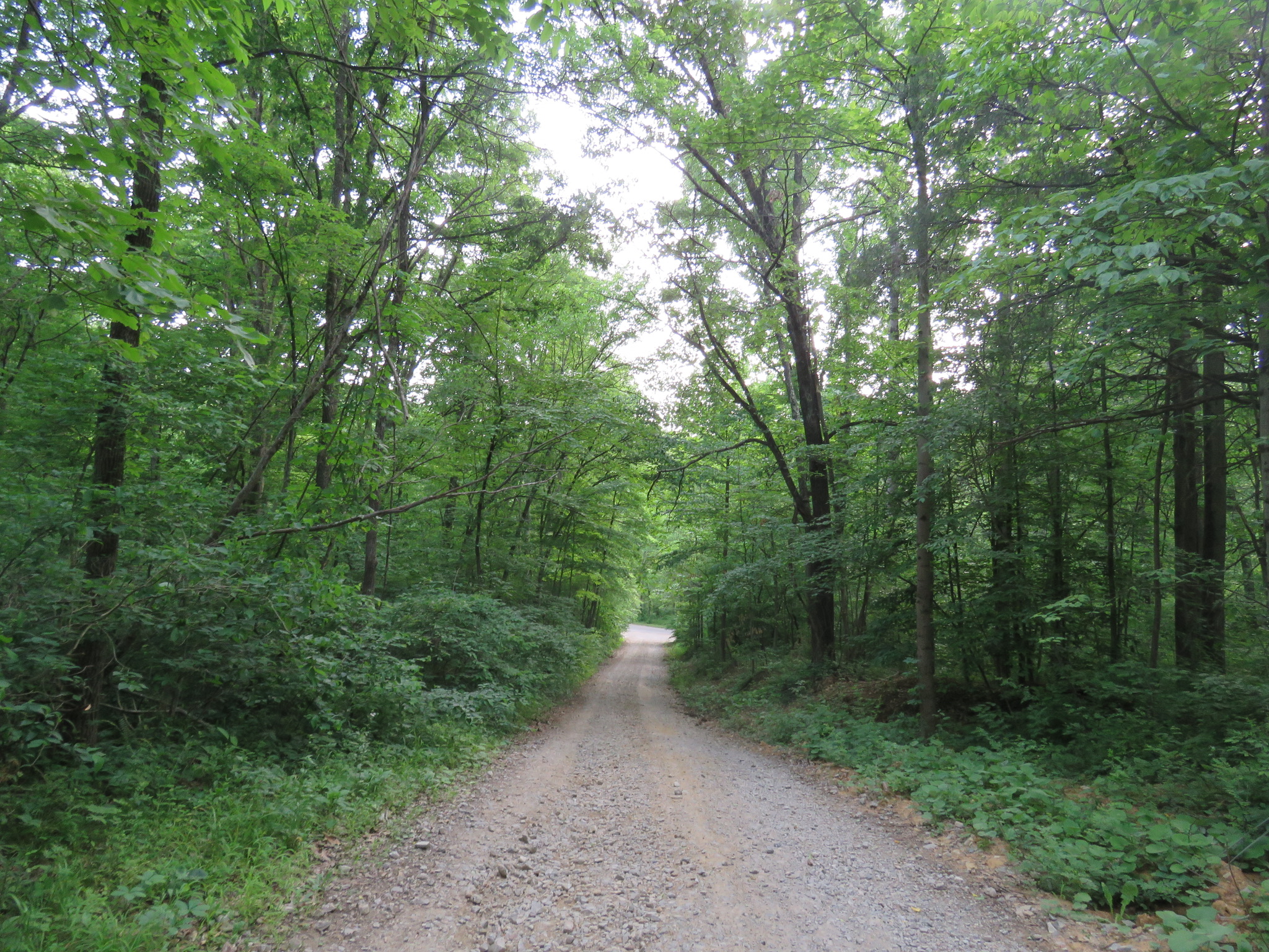 Tranquil Hills Lodging Hocking Hills Ohio